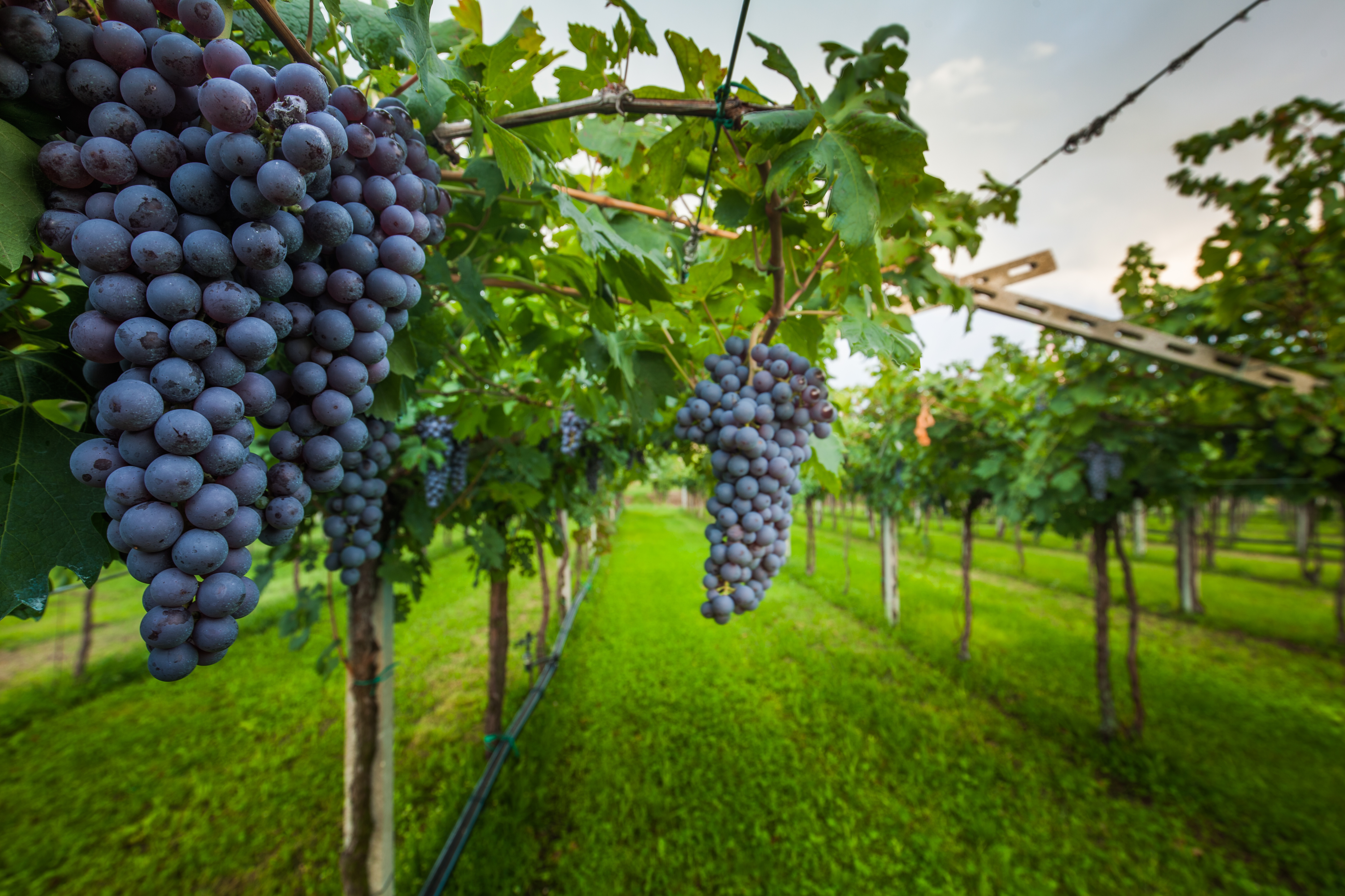 TADB 041: Spiritual Fruitfulness