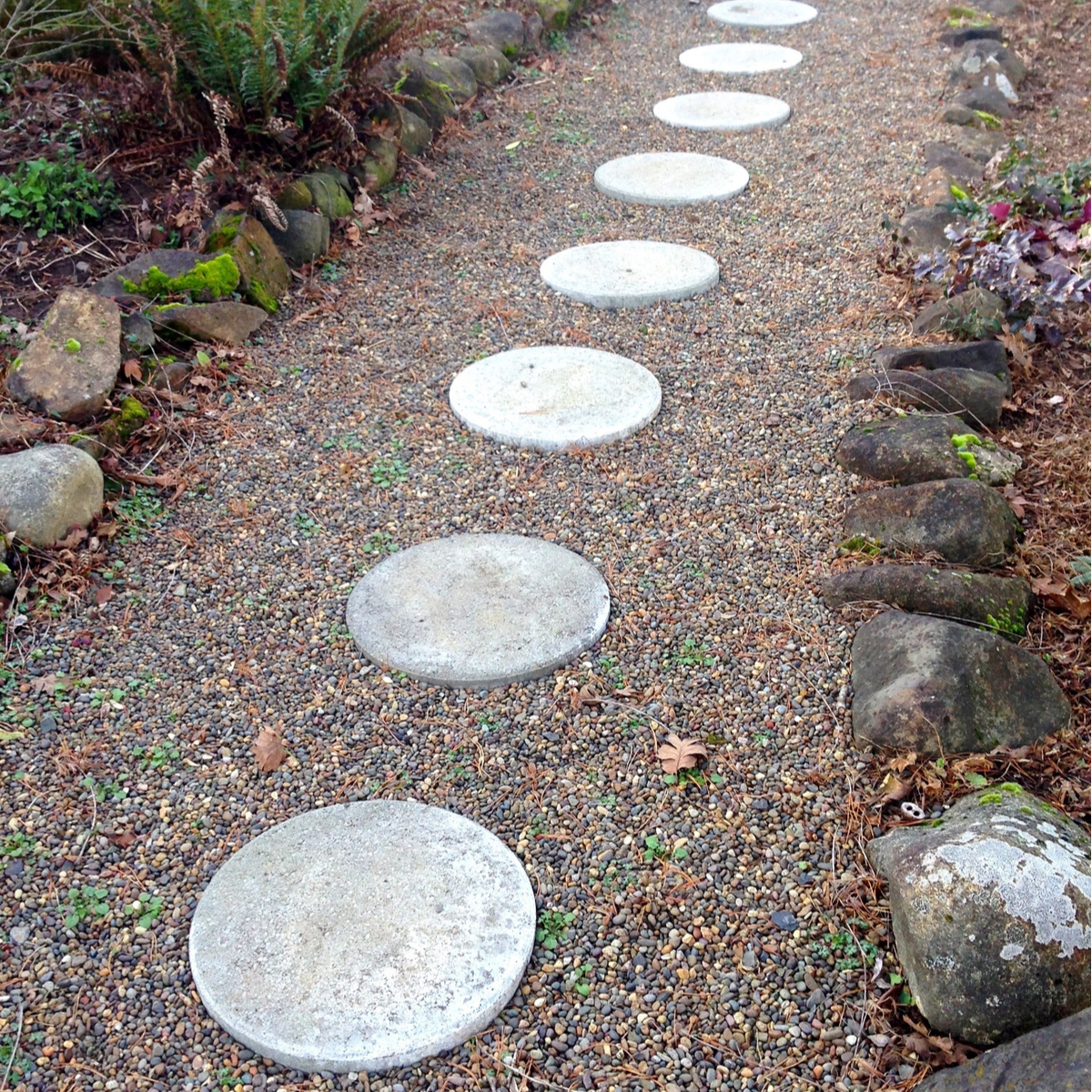 TADB 67:  Pathway – What is the Next Step?