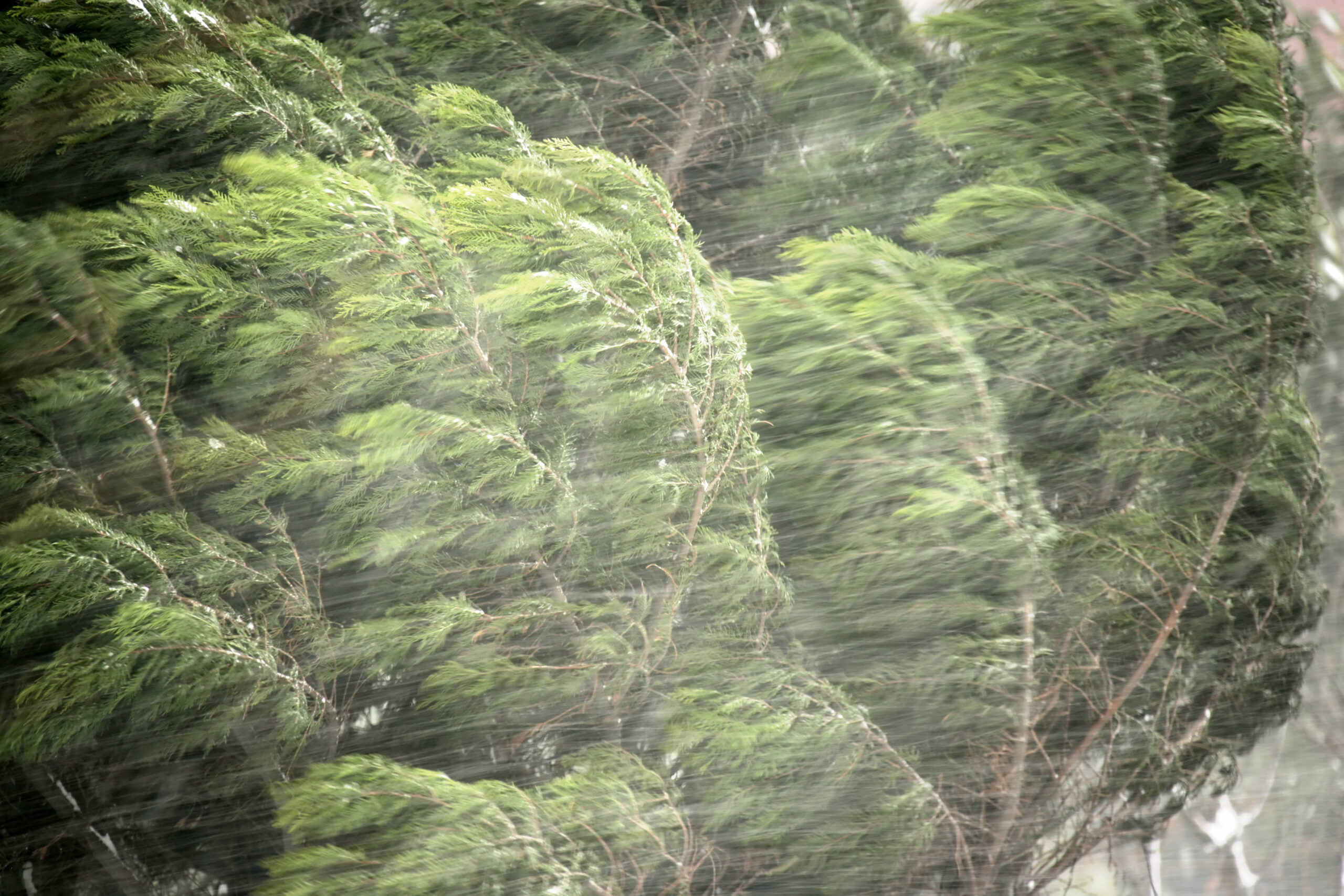 TADB 74:  Controlled Flexibility