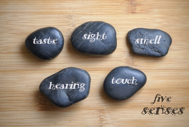 TADB 75:  Making Sense of our Senses