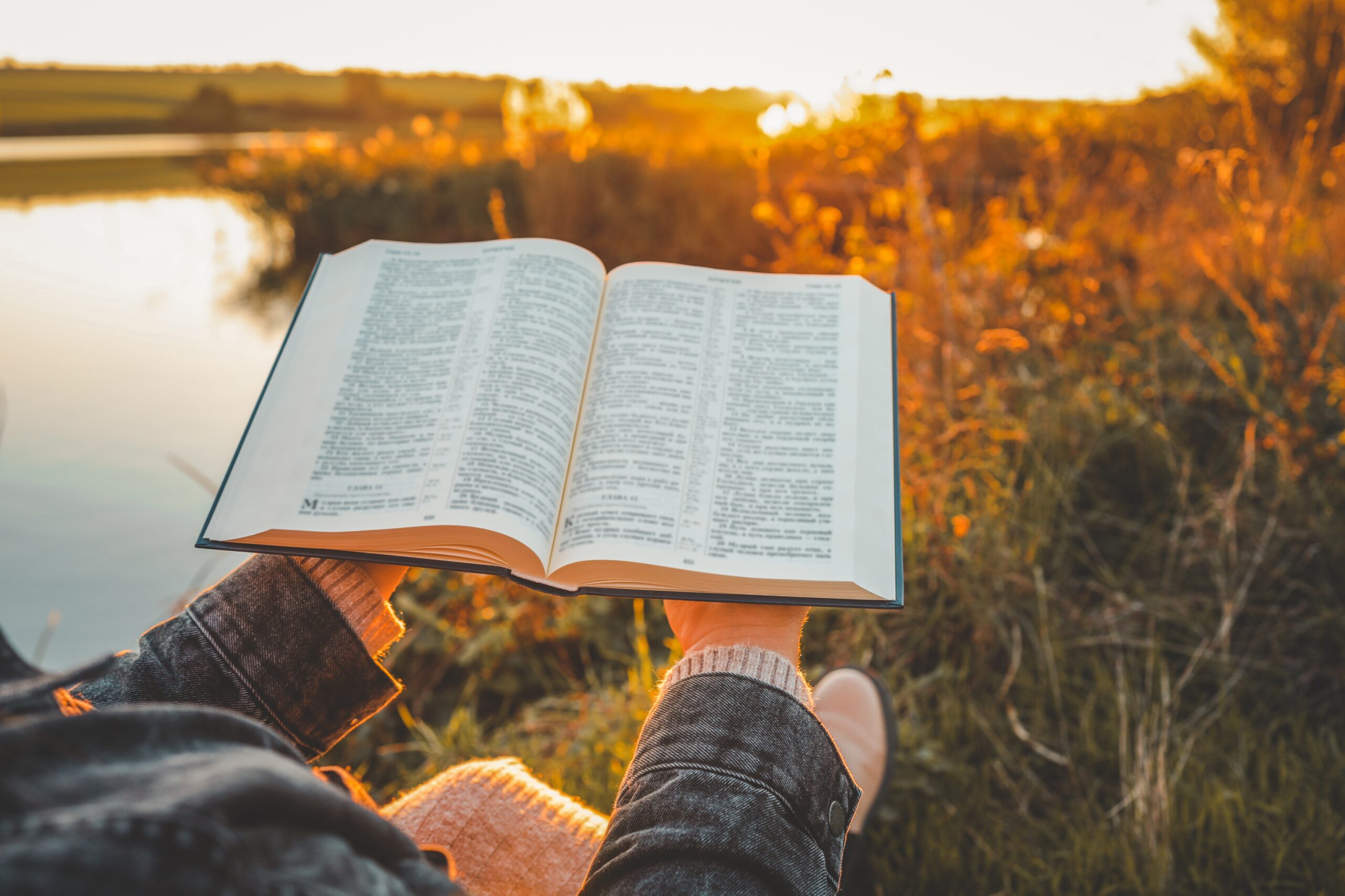 TADB 166:  Knowing the Parts, Missing the Story